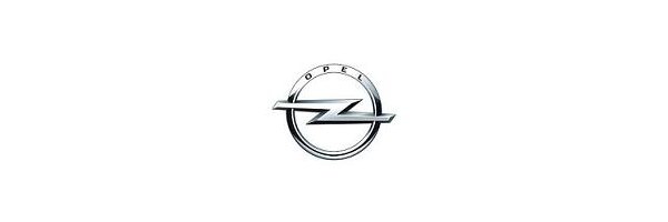 Opel Movano-e (Elektromodell), ab Baujahr 01/2021 -