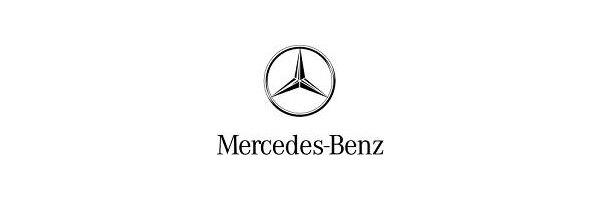 Mercedes Citan + T-Klasse W420, ab Baujahr 08/2021 -