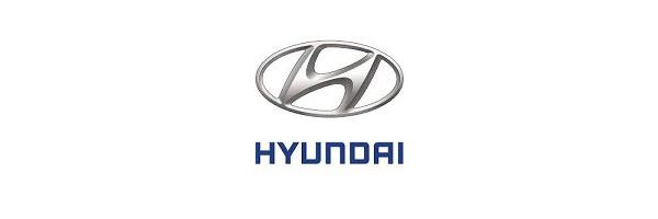 Hyundai Tucson (NX4), ab Baujahr 12/2020 -