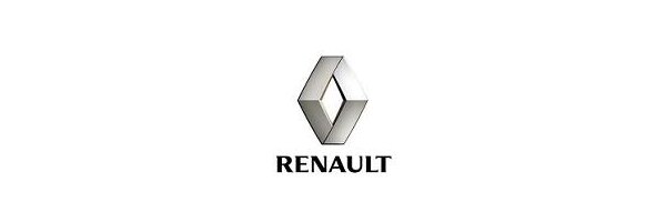 Renault Alaskan Double Cap Bj. 01/2018