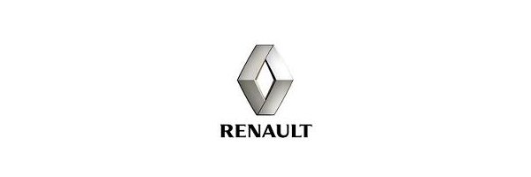Renault Trafic Kasten/DOKA, ab 2014 - 2021