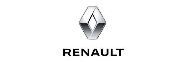 Renault Kangoo 2. Generation (Typ W), Baujahr 2008 - 2021
