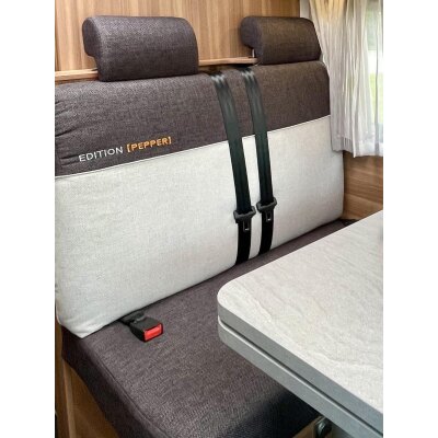 *Wohnmobil Weinsberg Cara Compact Edition Pepper, Rücksitzbezug für Zweierbank hinten im Design Stoff Space-anthrazit / Stoff beige, Art.Nr.: 9569